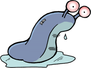 Slug PNG-87310